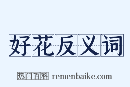 好花反义词是什么意思的图片